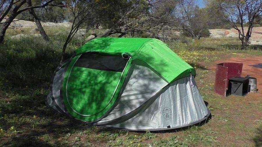 Coleman popup tent